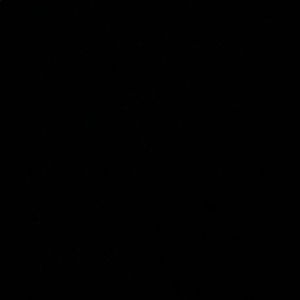 Meet your Posher, Jack